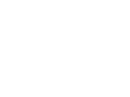 INTAKE MANIFOLD MANUFACTURER 